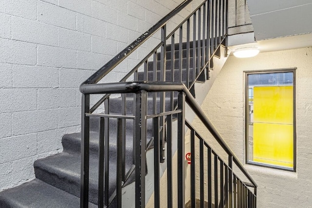 パントヒル マンハッタン