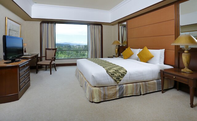 ザ パシフィック ステラ ホテル