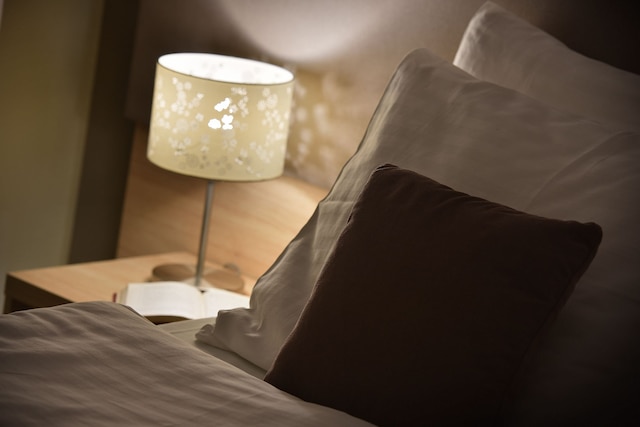 スリー クラウンズ ホテル プラハ