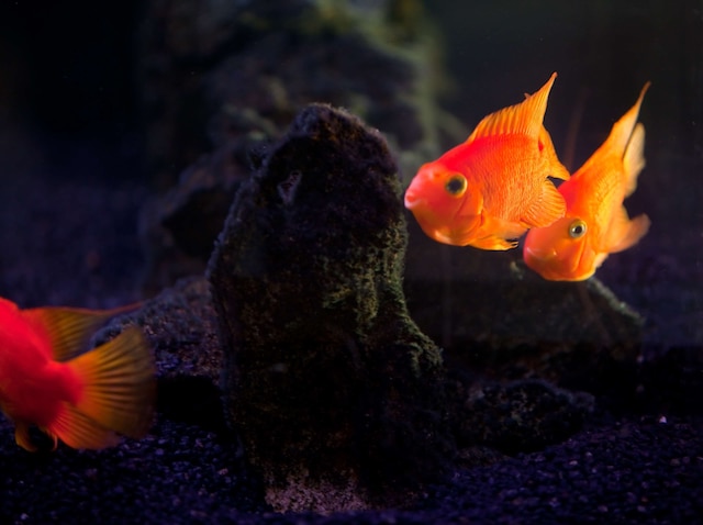 ワシントンプラザホテル