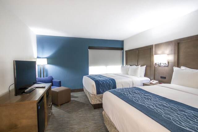 コンフォート イン & スイーツ ダウンタウン ブリッケル - ポート オブ マイアミ