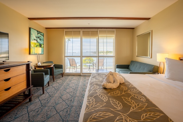 ザ ダナ オン ミッション ベイ