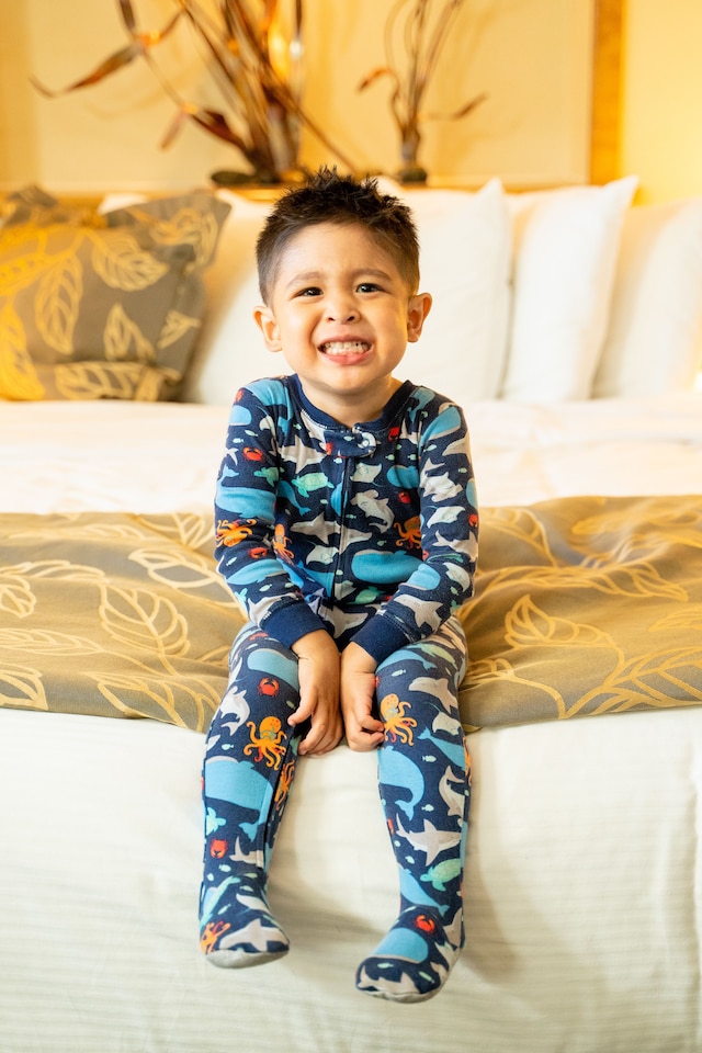 ザ ダナ オン ミッション ベイ