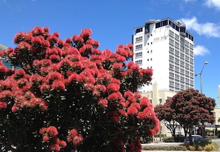 ベイ プラザ ホテル