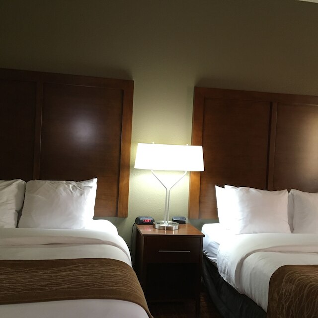 コンフォート イン & スイーツ ニア キノ スポーツ コンプレックス