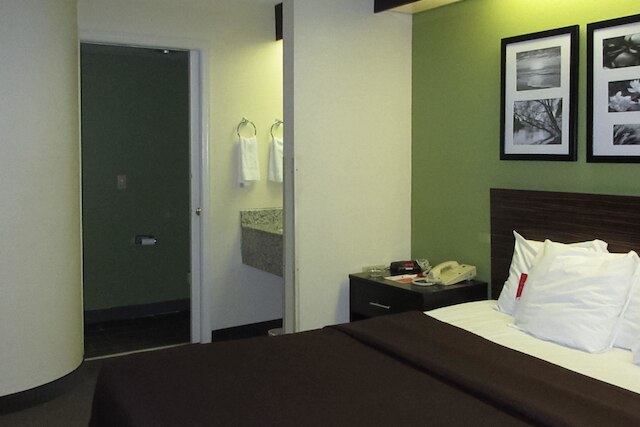 ロードウェイ イン オールバニ サウス