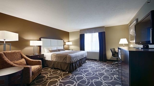 ベストウェスタン プラス パイオニア パーク イン