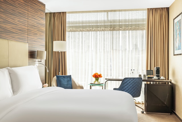 グランド アンカラ ホテル & コンベンション センター