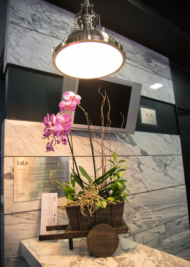 ライラ ホテル シウダ デ メヒコ