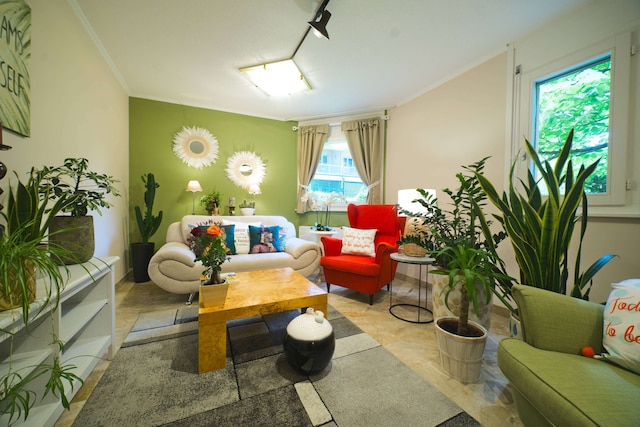 チューリップ イン ローザンヌ ビューリー