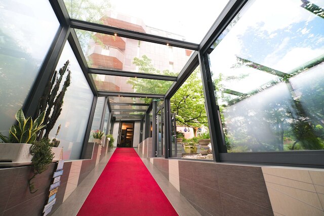 チューリップ イン ローザンヌ ビューリー