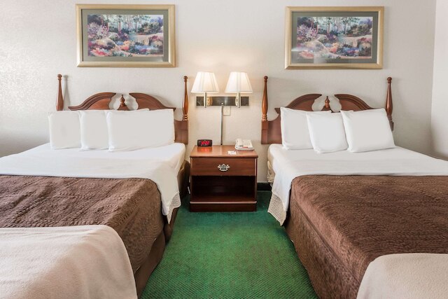 ナイツ イン ペルー