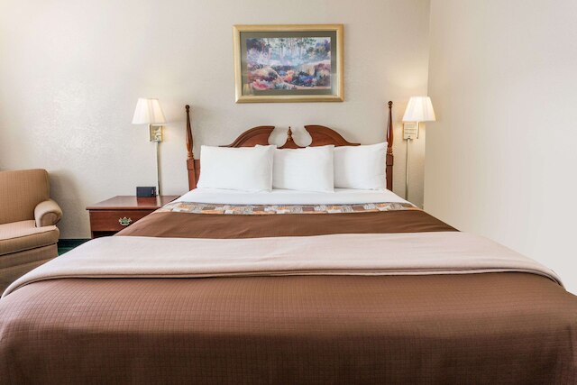 ナイツ イン ペルー