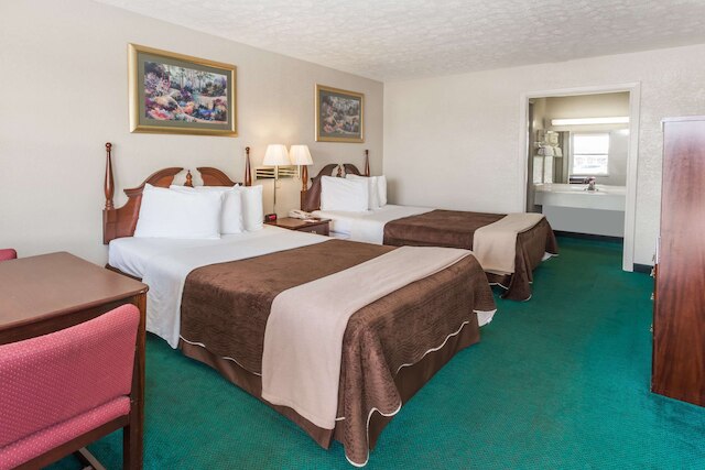 ナイツ イン ペルー