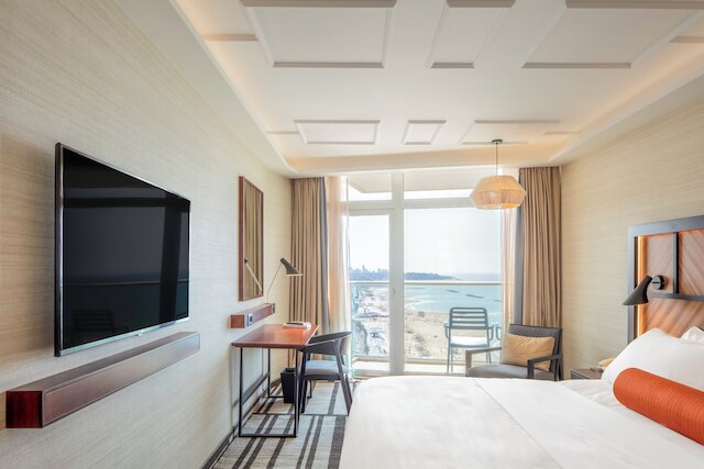 ルネッサンス テル アビブ