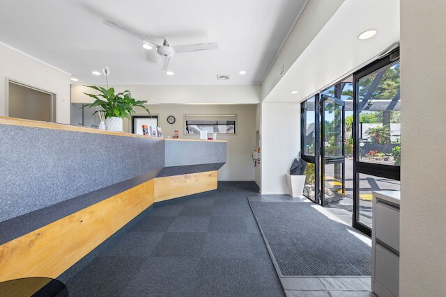 ワイリー コート