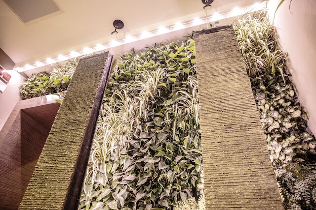 アル マンティア ホテル - トレヴィ ホテルズ グループ