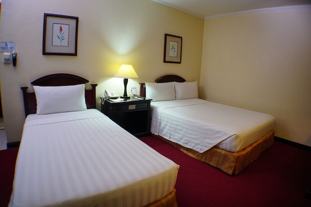 ベイビュー パーク ホテル マニラ