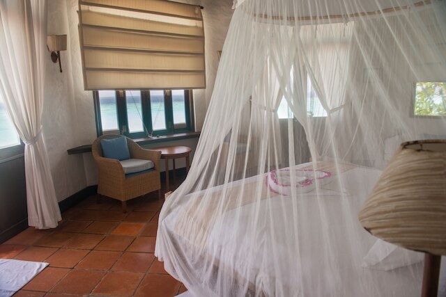 ココ パーム ドゥニ コルフ