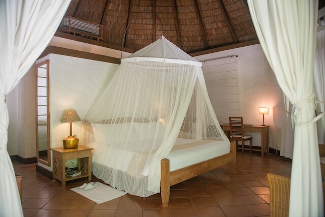 ココ パーム ドゥニ コルフ