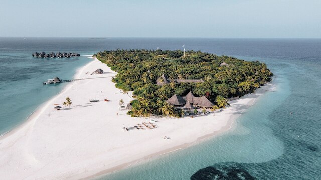 ココ パーム ドゥニ コルフ