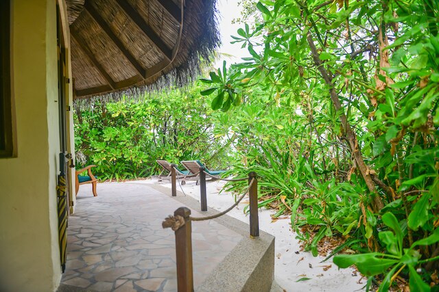 ココ パーム ドゥニ コルフ