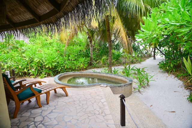 ココ パーム ドゥニ コルフ