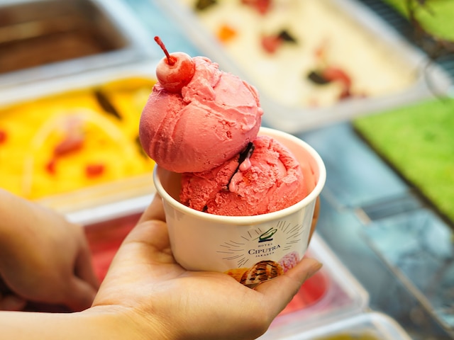 ホテル  シプトラ ジャカルタ