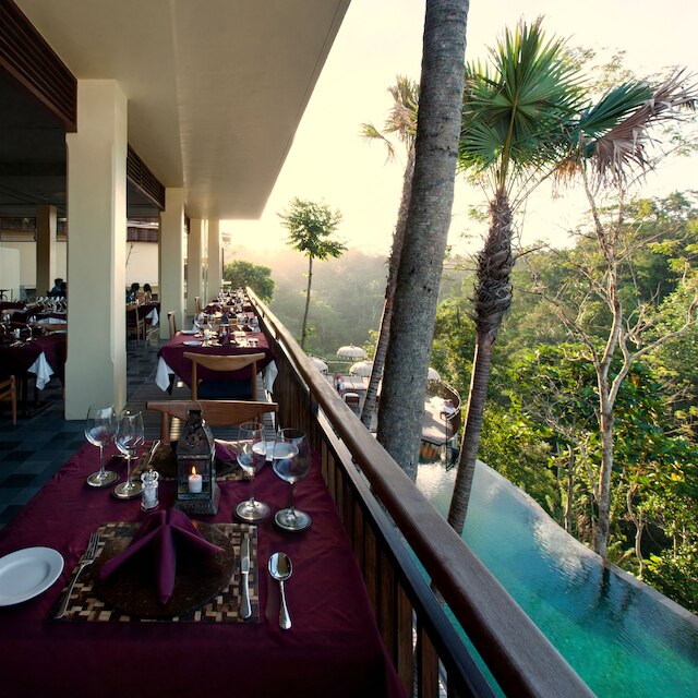 コマネカアットタンガユダ