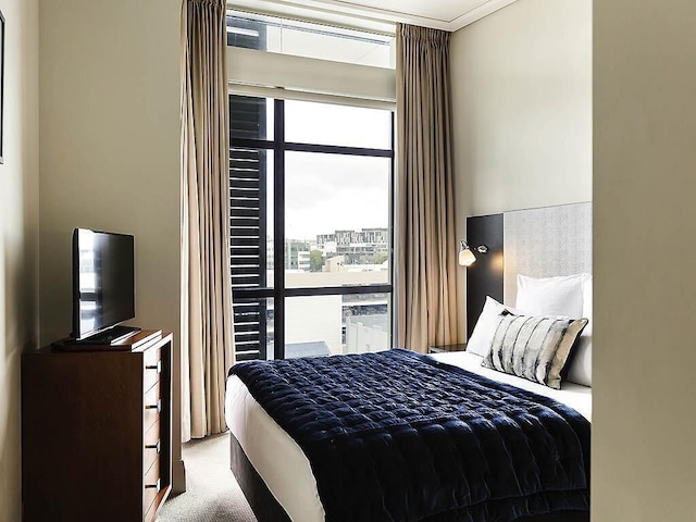 ザ セベル オークランド ヴィアダクト ハーバー