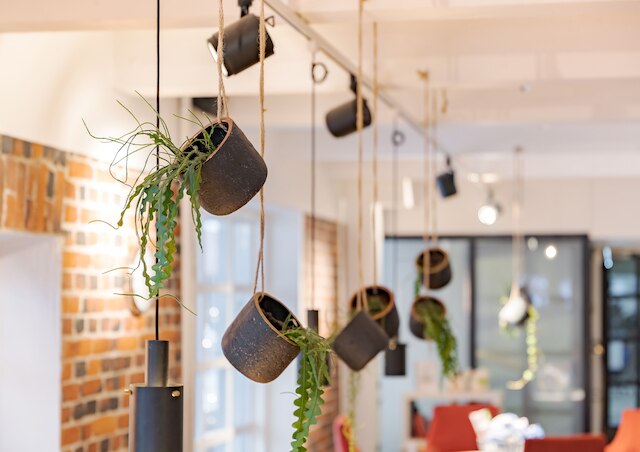 オリジナル ソコス ホテル ヴィラ