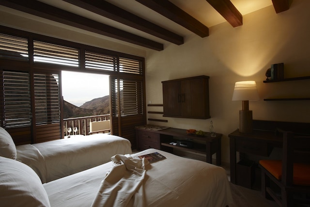 マイン ホット スプリングス