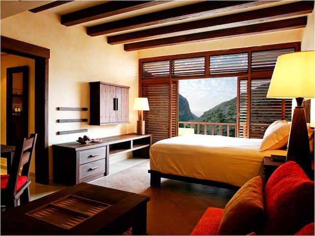 マイン ホット スプリングス