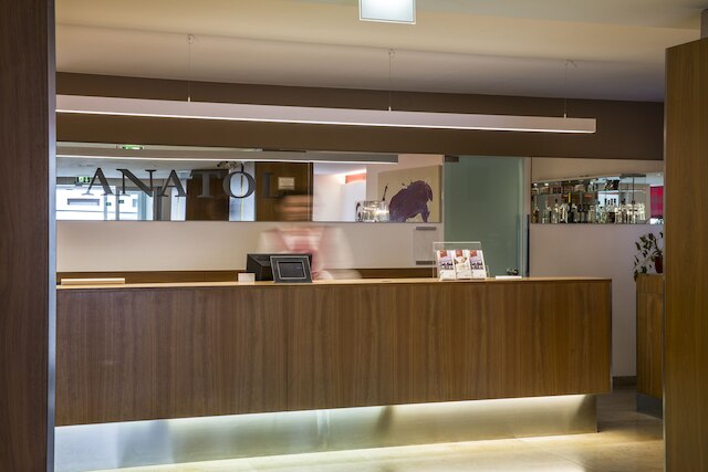 オーストリア トレンド ホテル アナトール