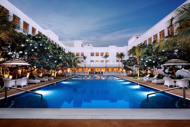 タージ コネマラ