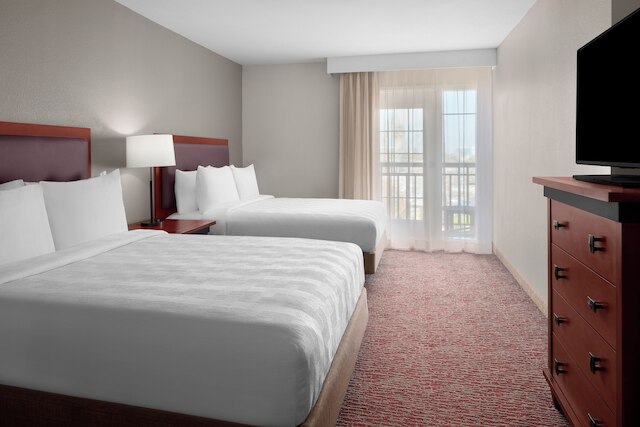 ラークスパー ランディング エクステンデッド ステイ スイーツ キャンベル