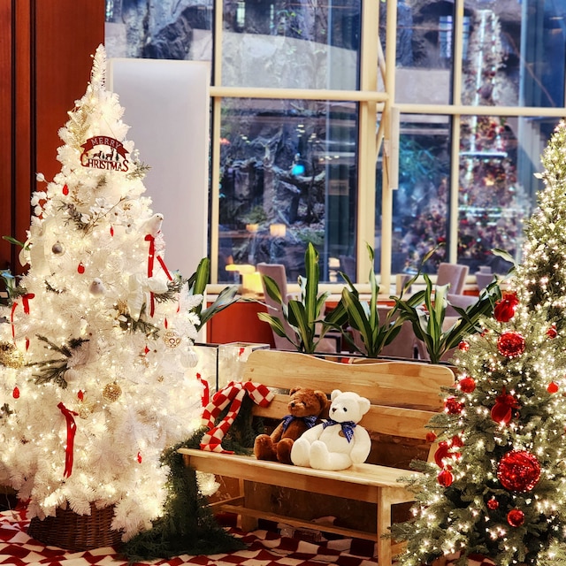 ノボテル アンバサダー ソウル カンナム