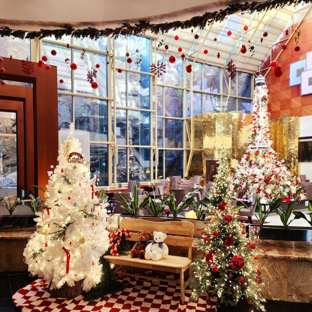 ノボテル アンバサダー ソウル カンナム