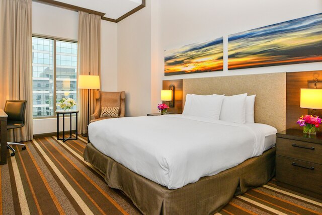 ヒルトン ダラス / パーク シティーズ