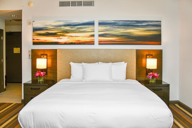 ヒルトン ダラス / パーク シティーズ