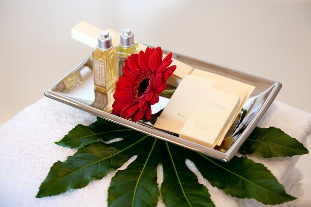 ホテル エルブフローレンツ ドレスデン