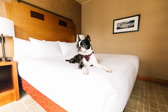 グランド ハイアット シアトル