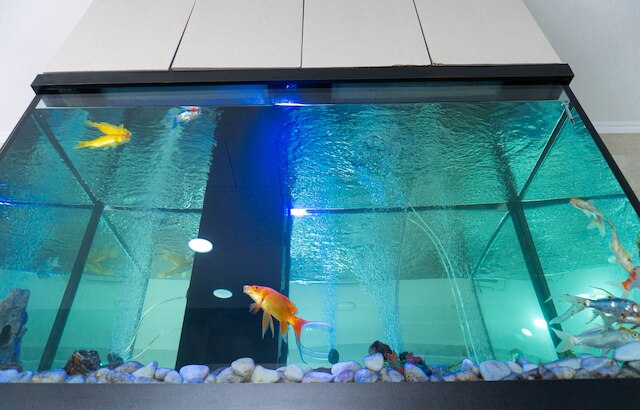 レジデンシャル ラル ド アレイロ