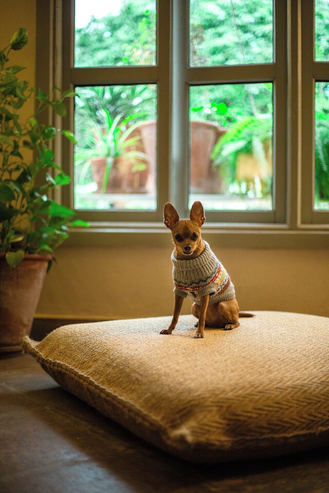 ホスペス ラスカサス デル レイ デ バエザ, デザインホテルズのメンバー