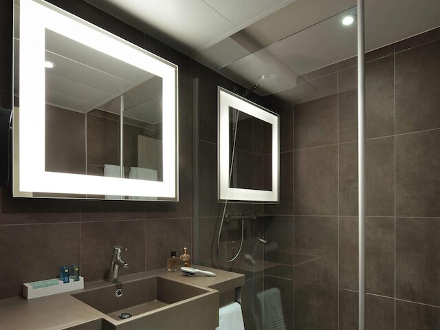 ノボテル ロワシー サン ヴィッツ