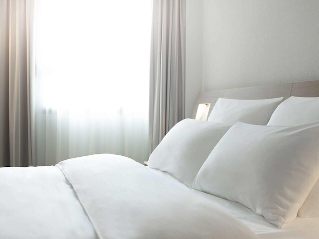 ノボテル ロワシー サン ヴィッツ