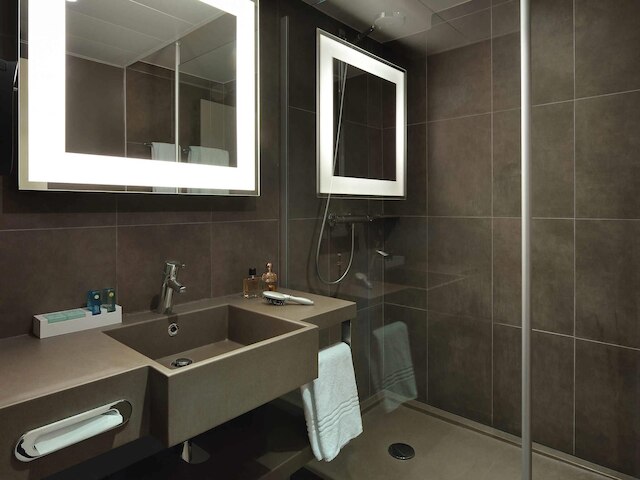 ノボテル ロワシー サン ヴィッツ