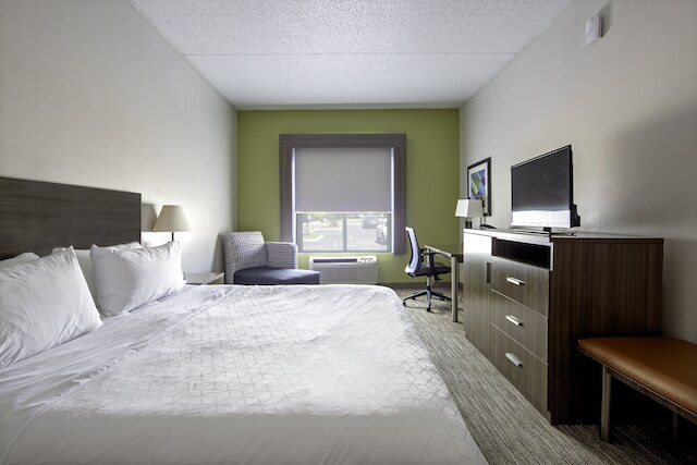 ホリデイ イン エクスプレス ホテル & スイーツ チャタヌーガ ルックアウト マウンテン by IHG