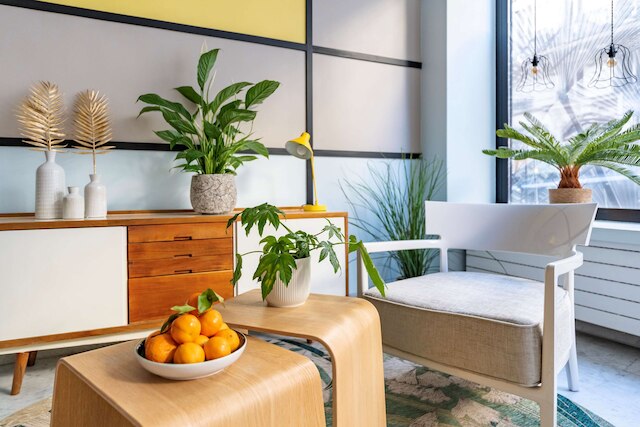 オテル パーム - アストテル