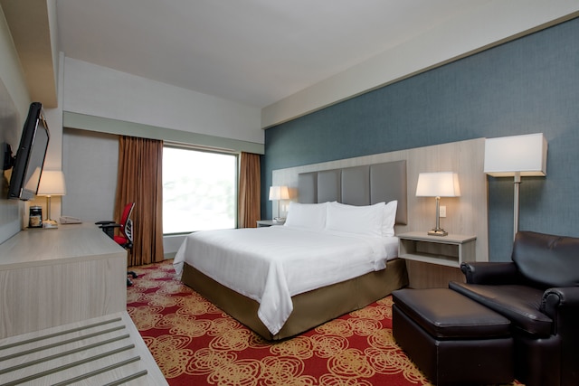 ホリデイ イン マナグア - コンベンション センター by IHG